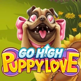 Go High Puppy Love online slot from RubyPlay – play at ripper-casinoo.com