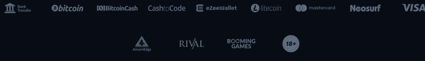Footer logos showing payment methods such as bank transfer, Bitcoin, Bitcoin Cash, CashtoCode, eZeeWallet, Litecoin, Mastercard, Neosurf, and Visa, along with provider logos and an 18+ badge.
